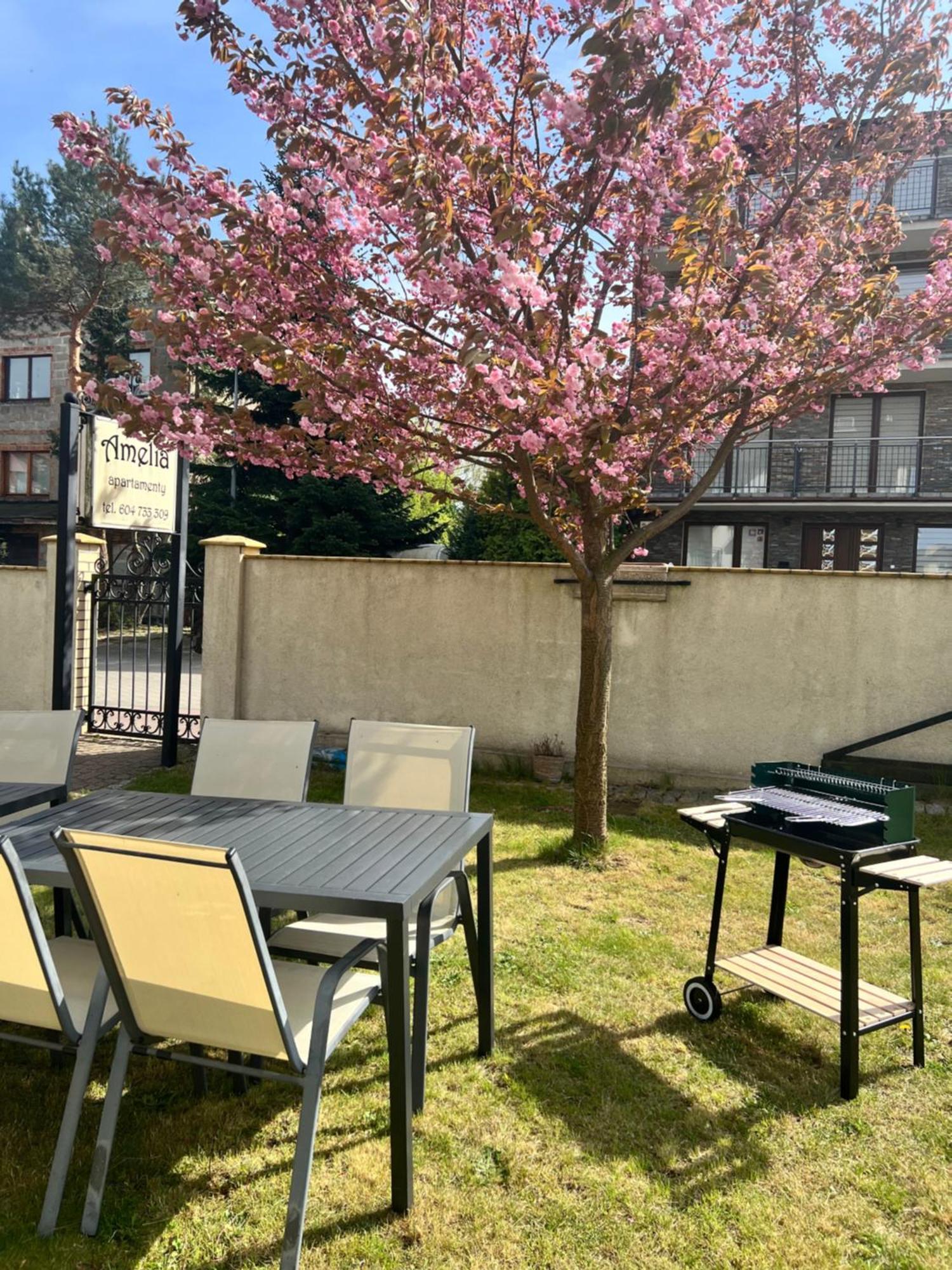 Amelia Apartamenty - Sala Zabaw, 2 Sypialnie, Garaz Podziemny Władysławowo Extérieur photo