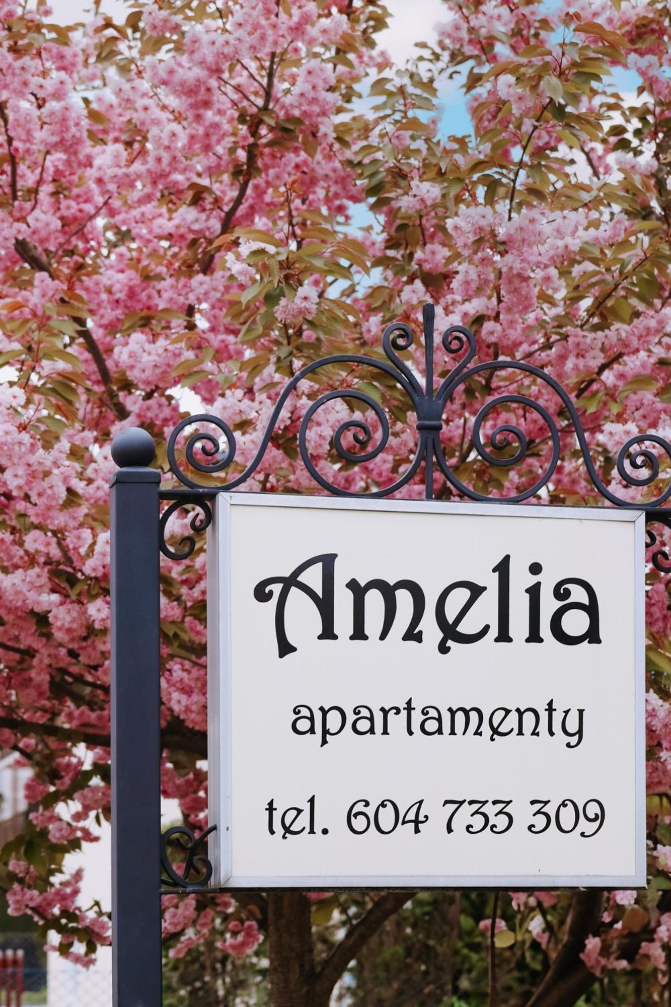 Amelia Apartamenty - Sala Zabaw, 2 Sypialnie, Garaz Podziemny Władysławowo Extérieur photo